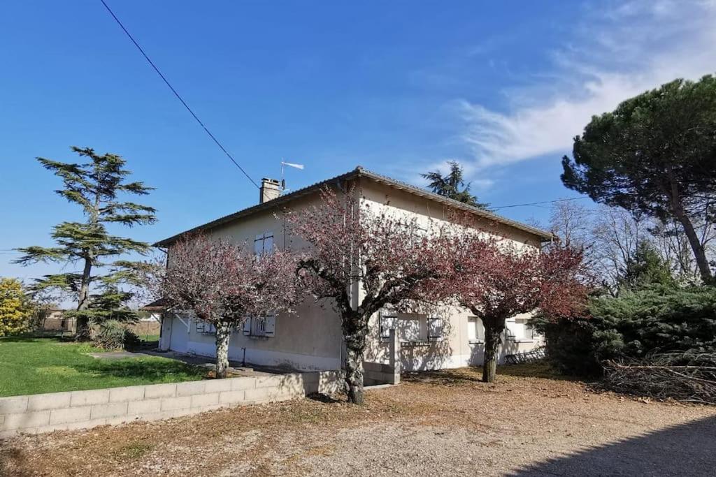 Vonkajšia záhrada v ubytovaní Maison Gaillacoise