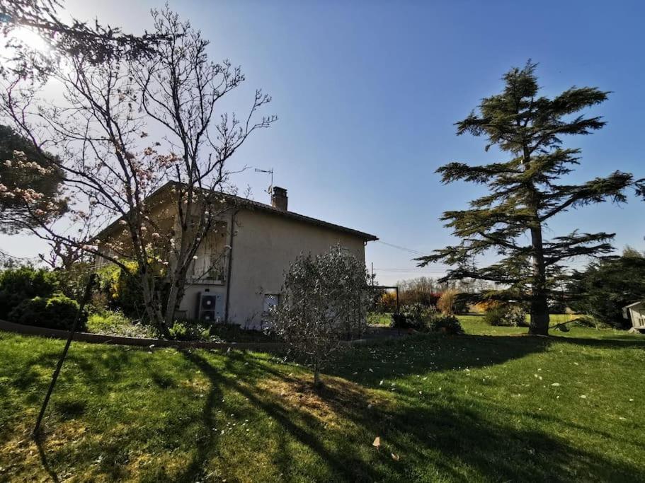 Vonkajšia záhrada v ubytovaní Maison Gaillacoise