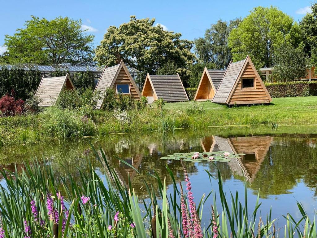 a row of wooden lodges next to a lake at Achterhoeks Goed, Minicamping in Vragender in Vragender