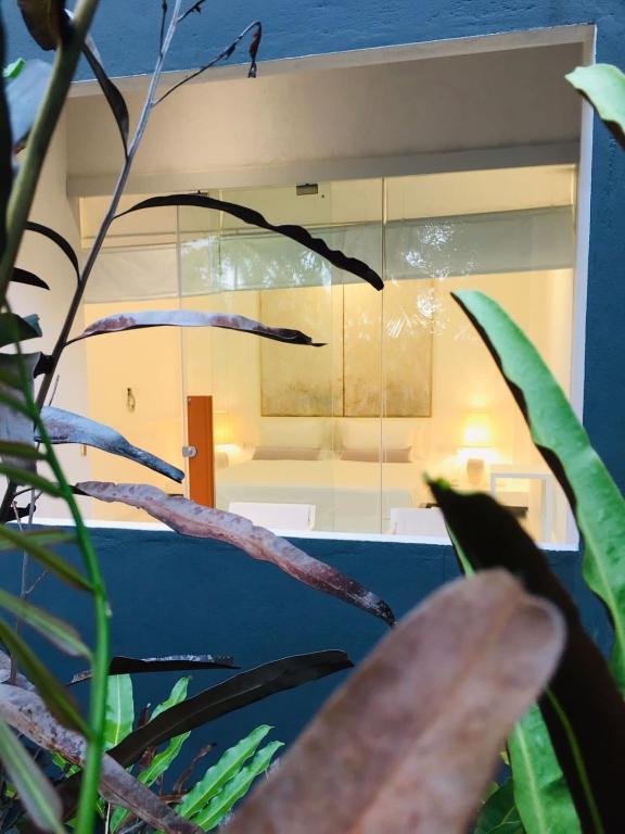 a mirror in a room with some plants at Saffron Robes Living in Hikkaduwa