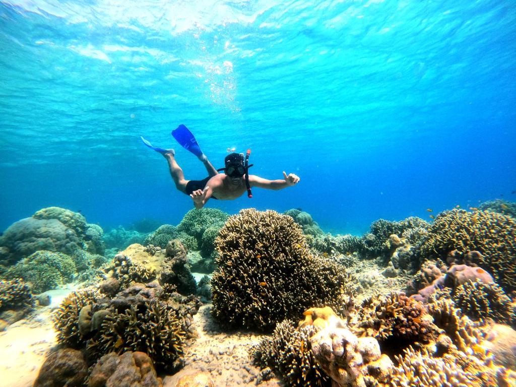 un hombre está nadando sobre un arrecife de coral en Ijen Transito, en Ketapang