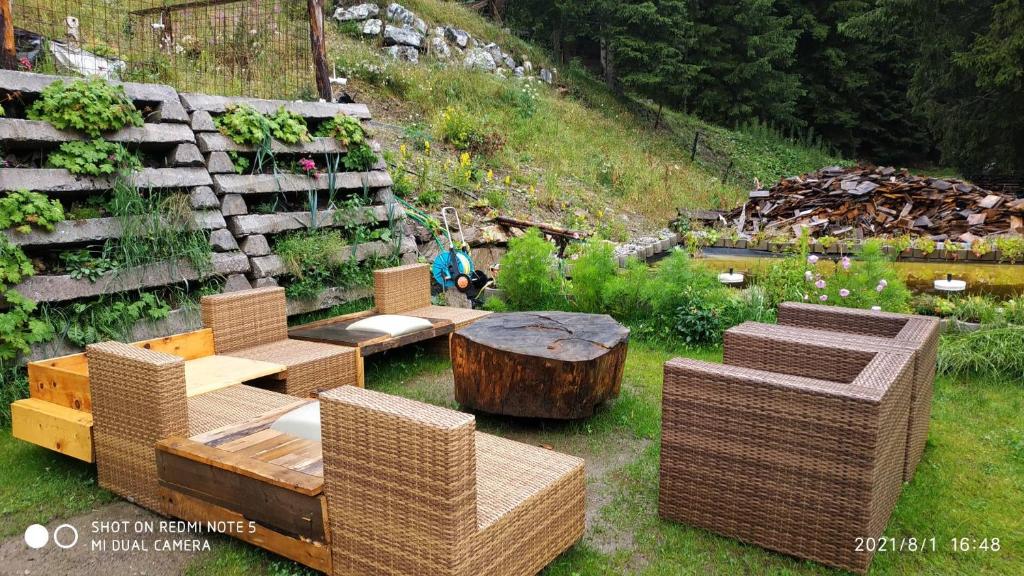 Zahrada ubytování Land - Haus