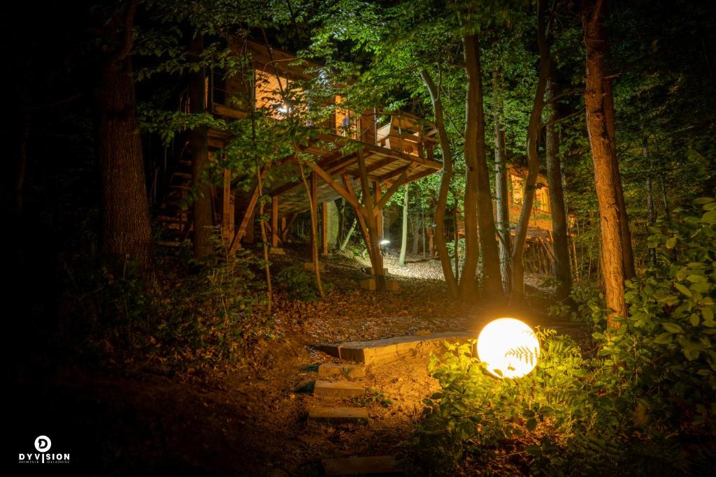 uma luz no meio de uma floresta à noite em DoliAnna em Krasnobród