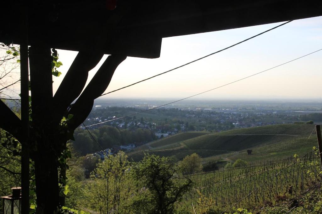 Blick auf einen Weinberg von der Spitze eines Hügels in der Unterkunft Vogesenblick in Offenburg