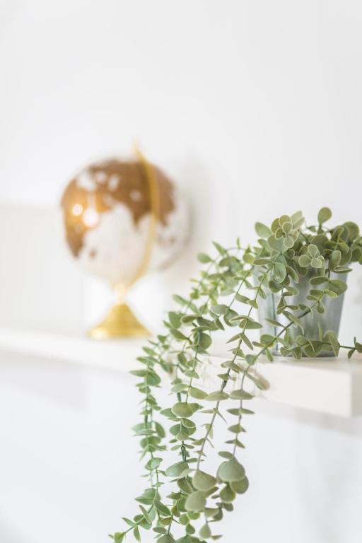 Apartamento Patio Real - 3