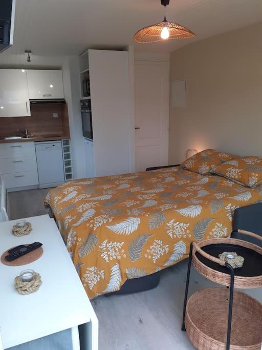 Posteľ alebo postele v izbe v ubytovaní Studio Canapé convertible 2 pers avec jardin et parking clos