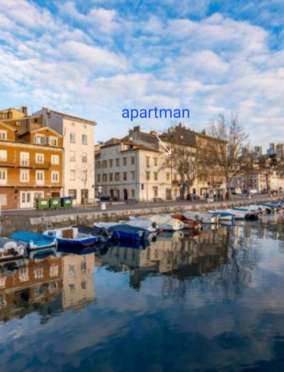 IN the CENTAR APARTMENT - 1