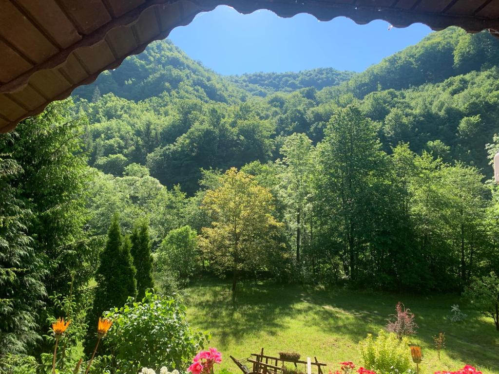 Cottage by the river Valea Draganului - Holiday Home