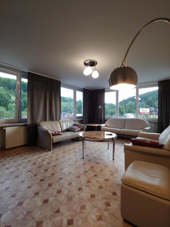 a living room with couches and a table and windows at Apartament u Tomka Premium in Ustrzyki Dolne