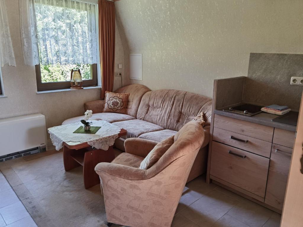 sala de estar con sofá y mesa en Finnhütte Tanne, en Tanne