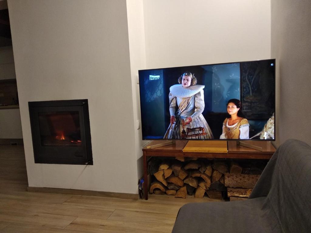 TV a/nebo společenská místnost v ubytování Chata Miki