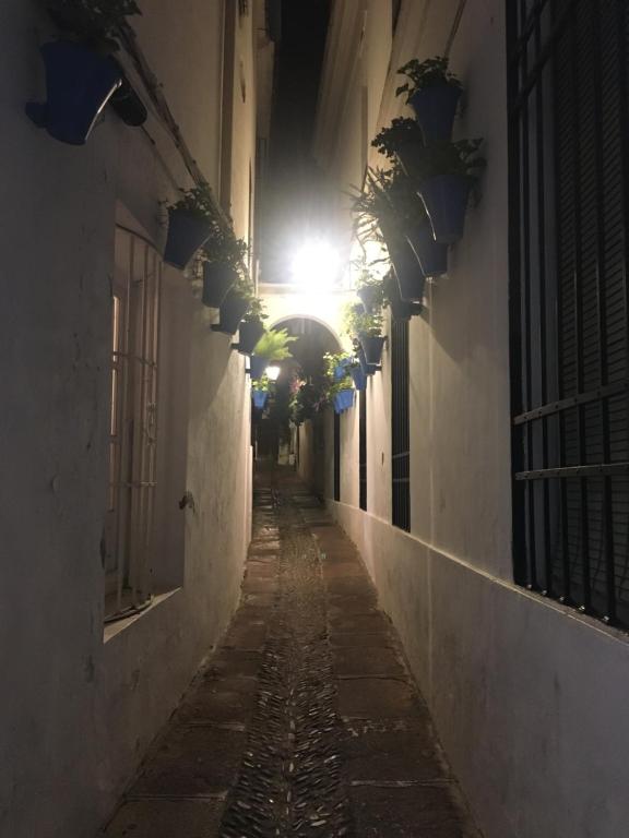 Fotografia z galérie ubytovania Casa Terraza Judería v destinácii Córdoba