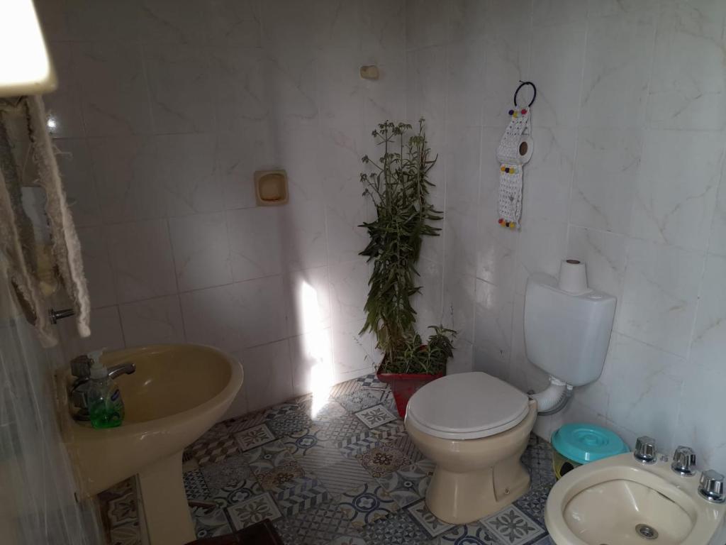 ein Badezimmer mit einem Waschbecken, einem WC und einem Waschbecken in der Unterkunft Selva Nuez in San Antonio