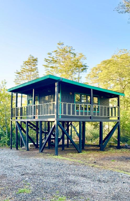 a small house with a green roof on a field at Molco Cabins Palafito in Pucón
