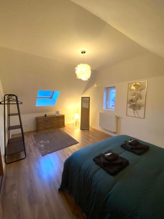 Duplex moderne à 10 minutes de Colmar – photo 7