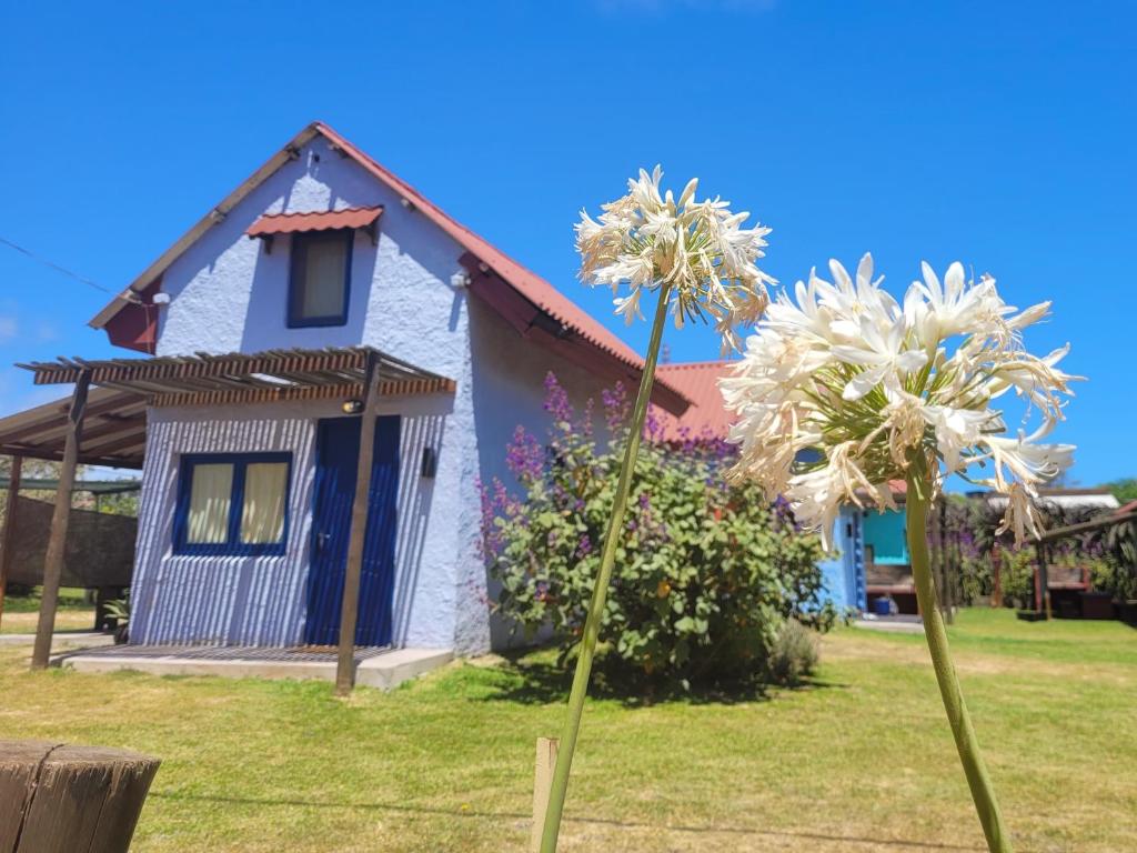 una casa con una palma di fronte di Cabañas Giramundos a Punta Del Diablo