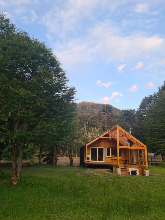 a house in the middle of a field with trees at Cabaña Martin Pescador, Lodge Nevados de Sollipulli in Melipeuco