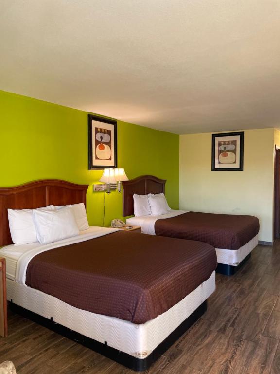2 Betten in einem Hotelzimmer mit grünen Wänden in der Unterkunft Linder Motor Lodge in Homer