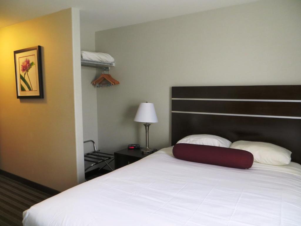 Super 8 by Wyndham Saskatoon Near Downtown - Resim 37