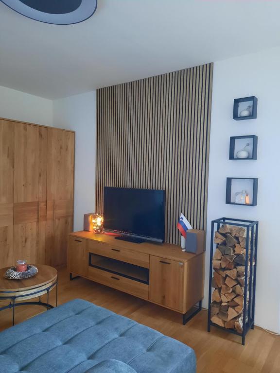 TV a/nebo společenská místnost v ubytování Apartment - Golden Fox 18 - Pohorske terase