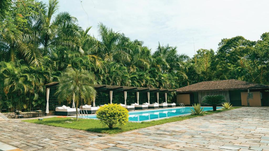 um resort com piscina e palmeiras em Kasara Chitwan em Chitwan