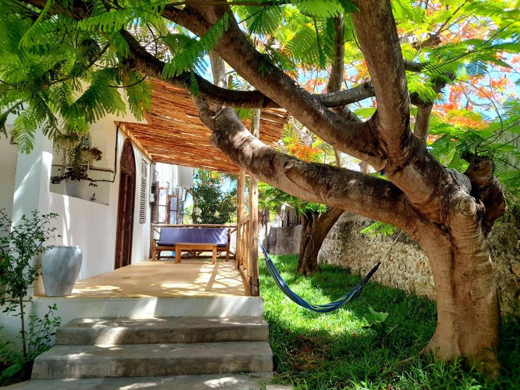 a tree with a hose hooked up to a house at Culture's apartment in Paje