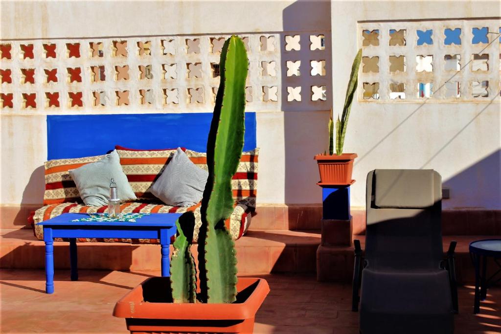 a living room with a couch and a cactus at Asunfou : Appartement d'apaisement in Mirleft