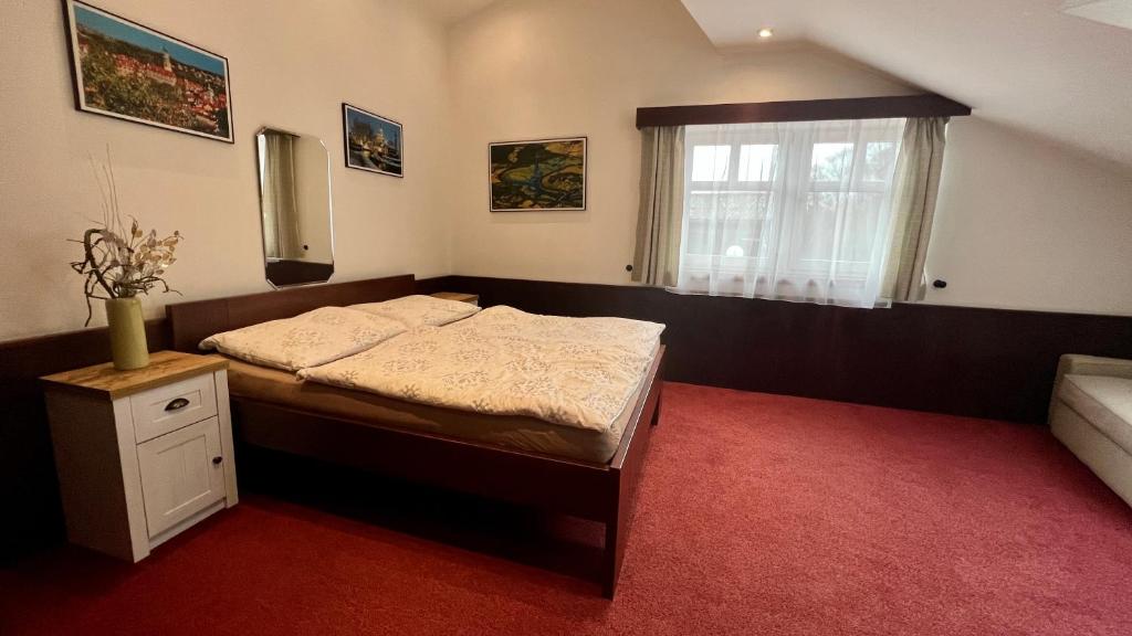 Pension Tenis - Centrum - 12