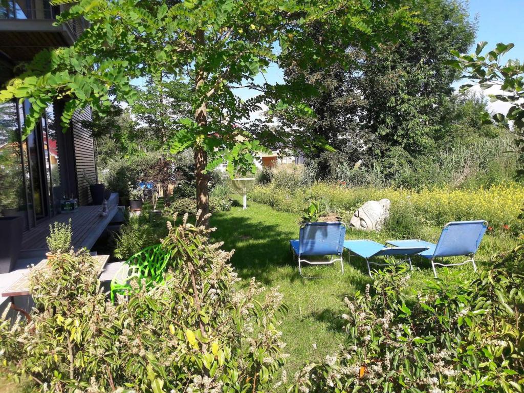 a yard with two chairs and a table and a tree at Glashus-Moos Loft 2 in Moos