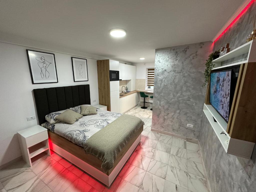 Schlafzimmer mit einem Bett und einem Flachbild-TV in der Unterkunft Exclusiv Room in Iaşi