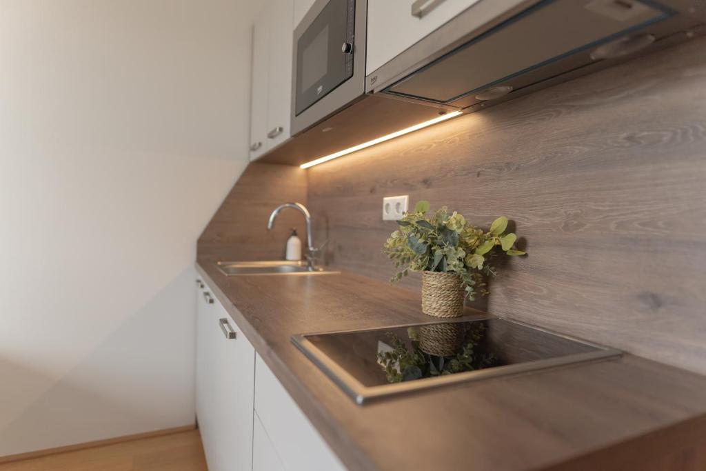 Una cocina o kitchenette en Hotel Triester