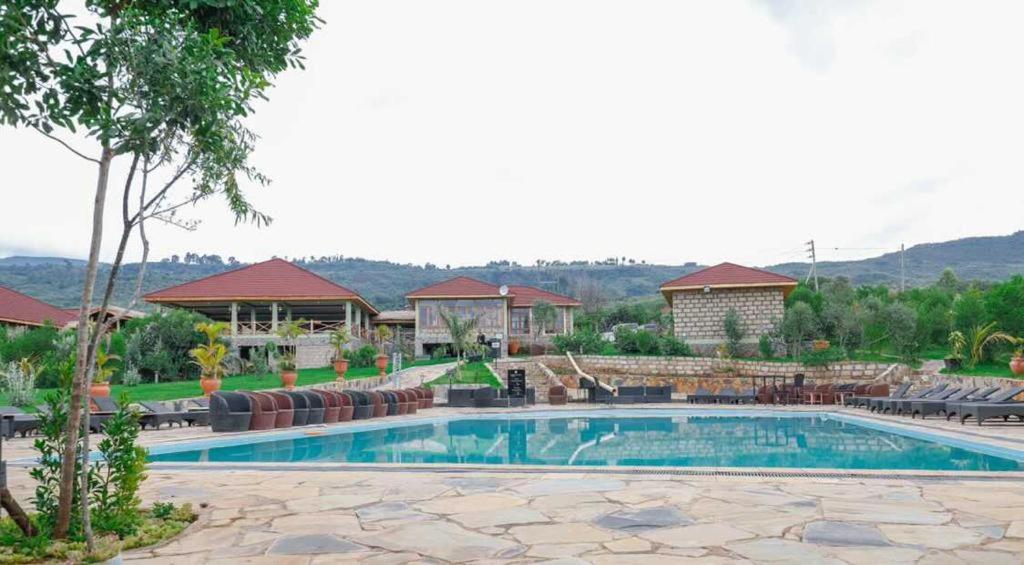 a pool at a resort with mountains in the background at CAPELLA RESORT (ELEMENTAITA, KENYA) in Nakuru