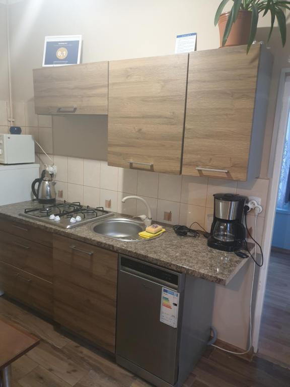 Kuchyňa alebo kuchynka v ubytovaní Apartament Demiro