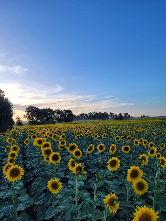 Cabaña El Encuentro