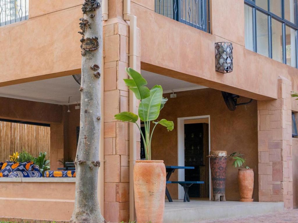 uma planta em um potenciômetro grande ao lado de um edifício em Tabokana House em Victoria Falls