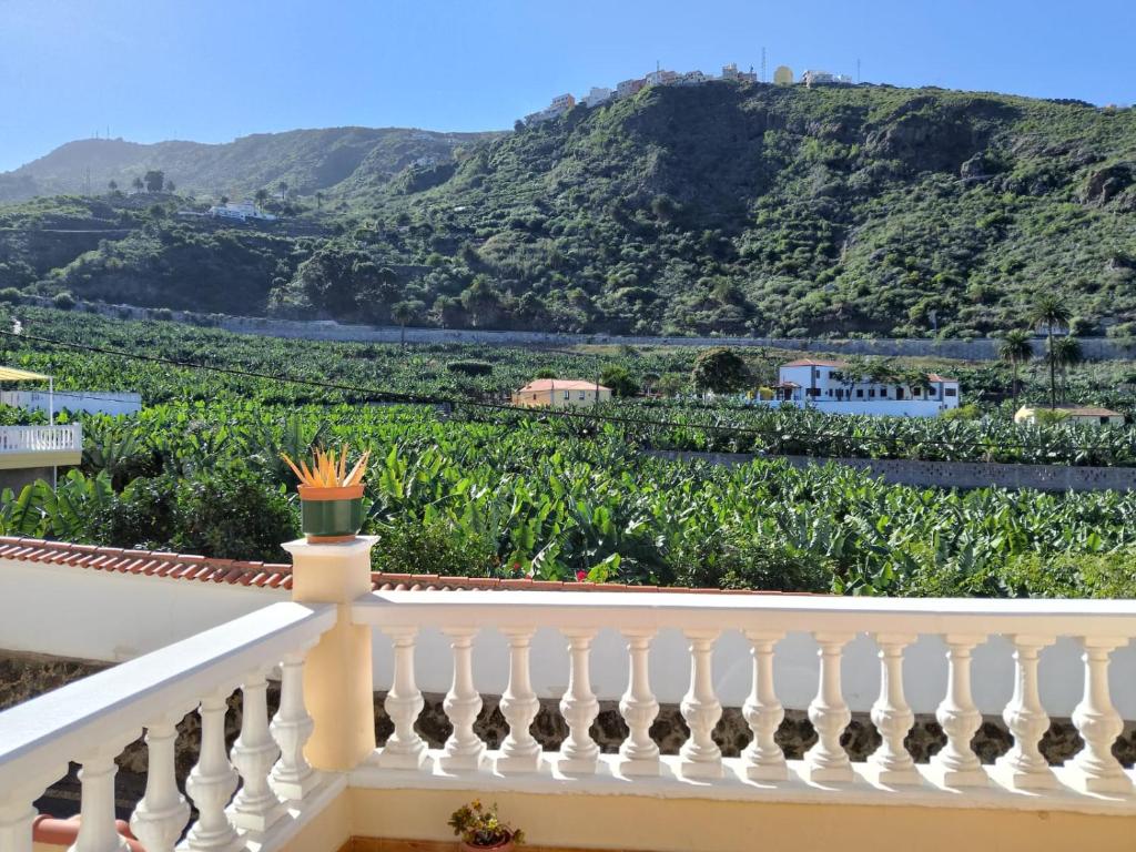 einen weißen Balkon mit Blick auf einen Weinberg in der Unterkunft Casa San Felipe By Paramount Holidays in Icod de los Vinos