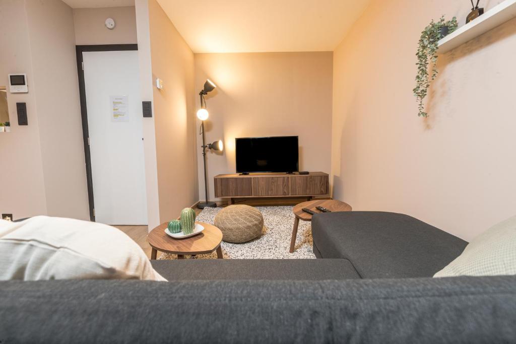 TV a/nebo společenská místnost v ubytování Golden Dove Luxury Aparts