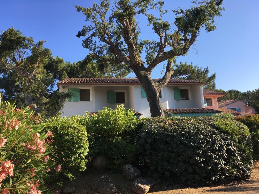 une maison blanche avec un arbre et quelques buissons dans l'établissement ST CYPRIEN C18 -4/6 pers- CLIM- à 250m de la plage de sable Saint Cyprien, à Lecci