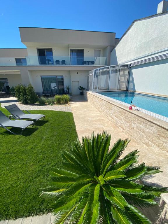 a palm tree in front of a house with a swimming pool at Gut Leithaberg in Jois