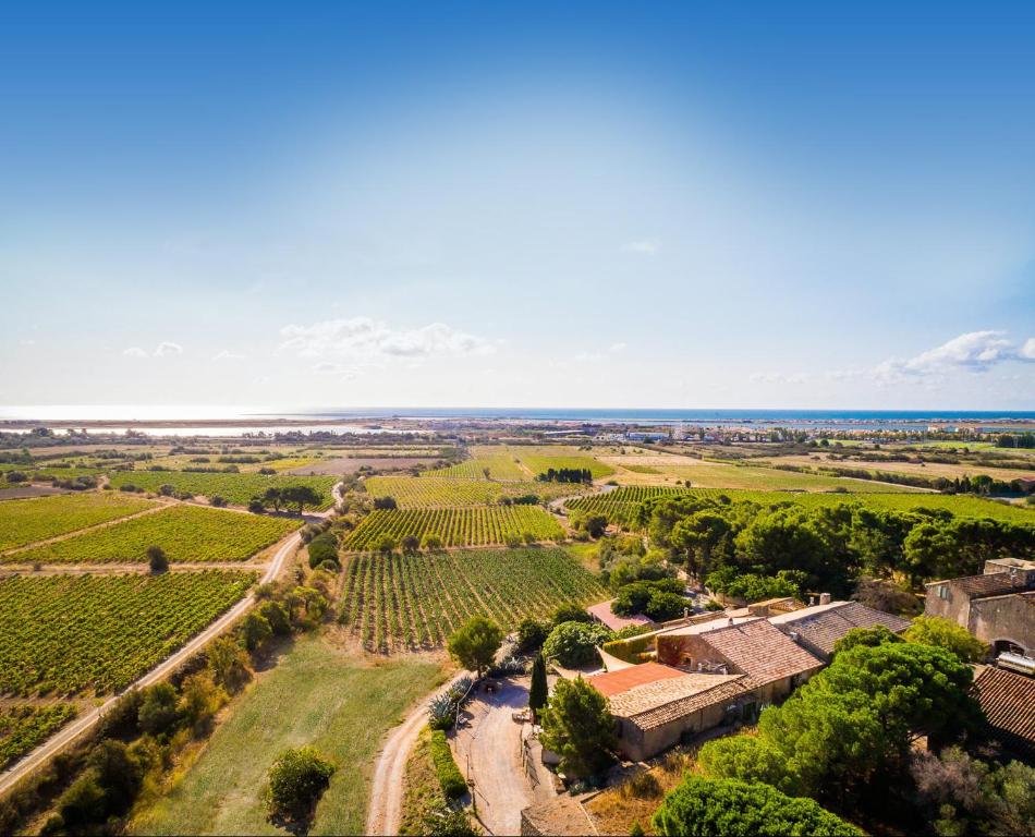 an aerial view of a vineyard with trees and the ocean at Château le Bouïs in Gruissan