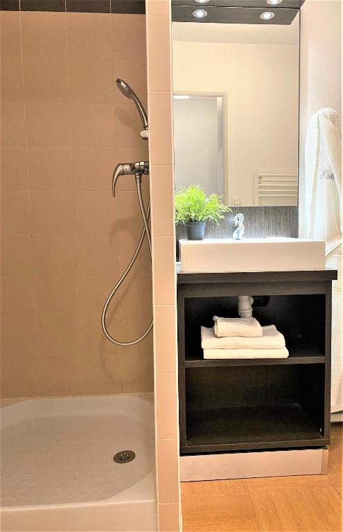 a bathroom with a shower and a sink at ApartHotel Sainte-Marthe in Avignon