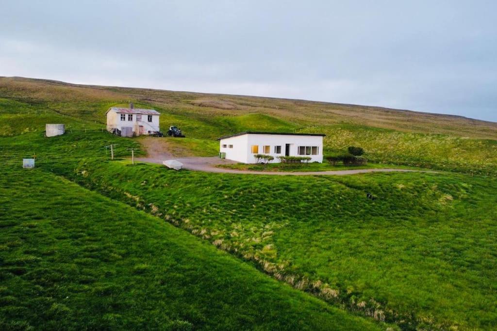 twee witte huizen op een heuvel met een groen veld bij Óspaksstaðir- New Renovated Farm in Hrútafjörður in Staður