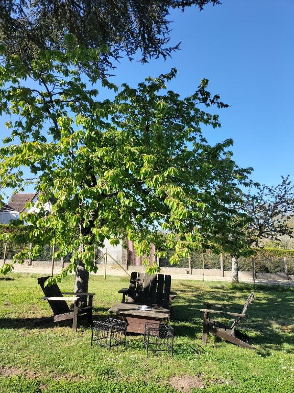 une table de pique-nique et des chaises sous un arbre dans un parc dans l'établissement Petit cocooning Au cœur de la Sologne, à Romorantin-Lanthenay