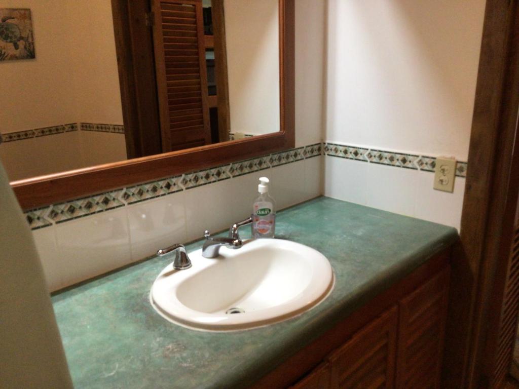 a bathroom counter with a sink and a mirror at Cocolobo Resort in West End