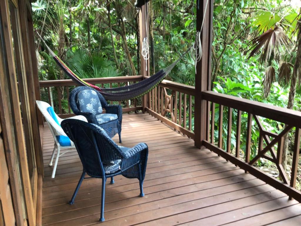 a porch with two chairs and a hammock at Cocolobo Resort in West End
