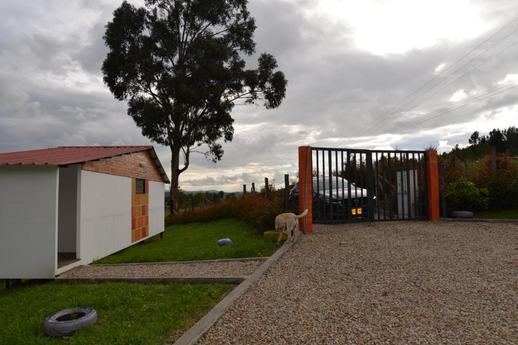CABAÑAS GLAMPING SALEKA Paipa - Chalet Met één Slaapkamer