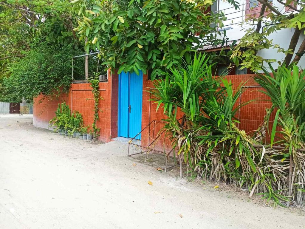 a blue door on the side of a wall with plants at Villagewaves in Himmafushi