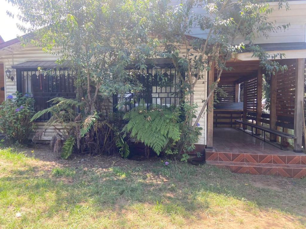 Vườn quanh Cabaña en Lican ray