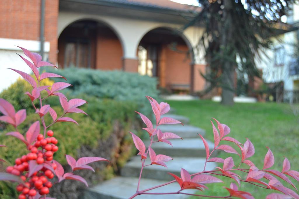 una planta con flores rosas delante de una casa en La Filanda B&B en Casorezzo