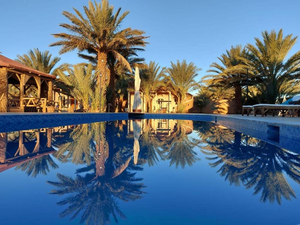 a reflection of palm trees in a swimming pool at Oasis Tilogui in Zagora